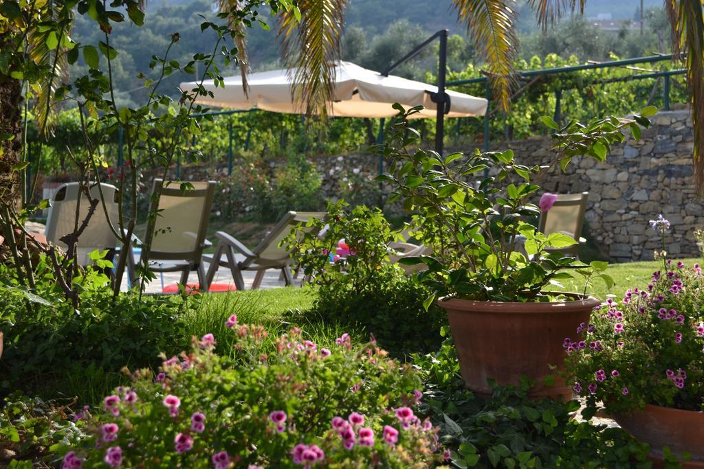 Agriturismo Ada Musso Ss Diano Borello Exterior foto