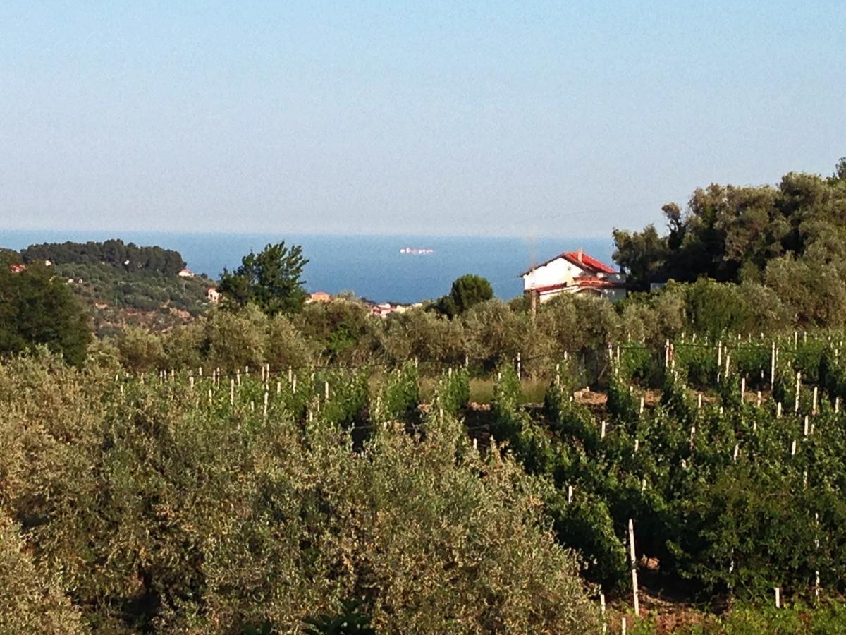 Agriturismo Ada Musso Ss Diano Borello Zimmer foto