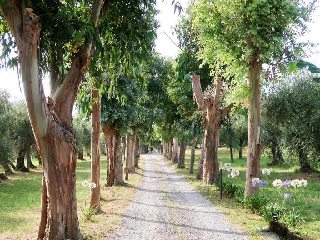Agriturismo Ada Musso Ss Diano Borello Exterior foto